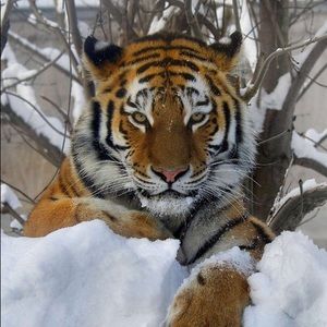 Meet your Posher, Matt